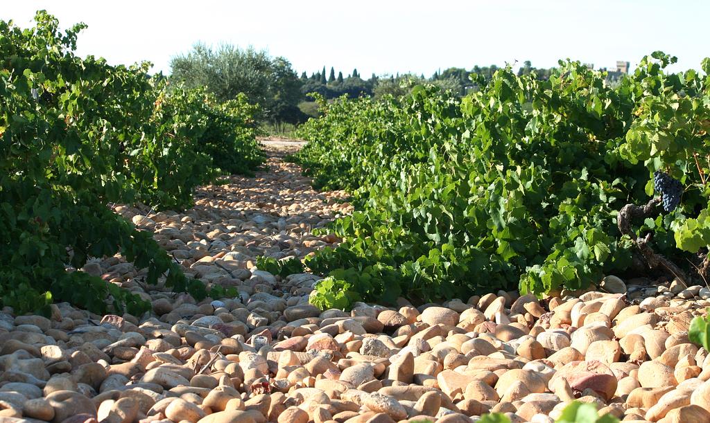 kei lekker. Châteauneuf-du-Pape,