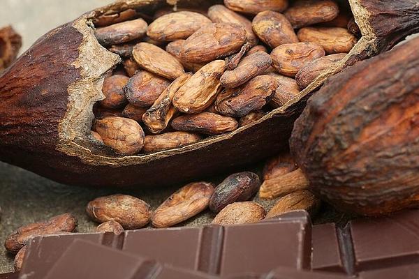 Cacao,