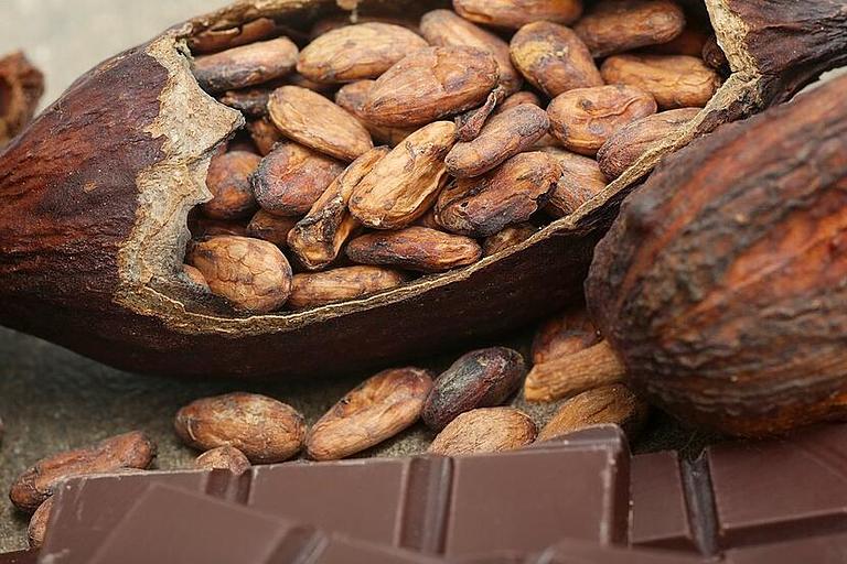 Cacao,