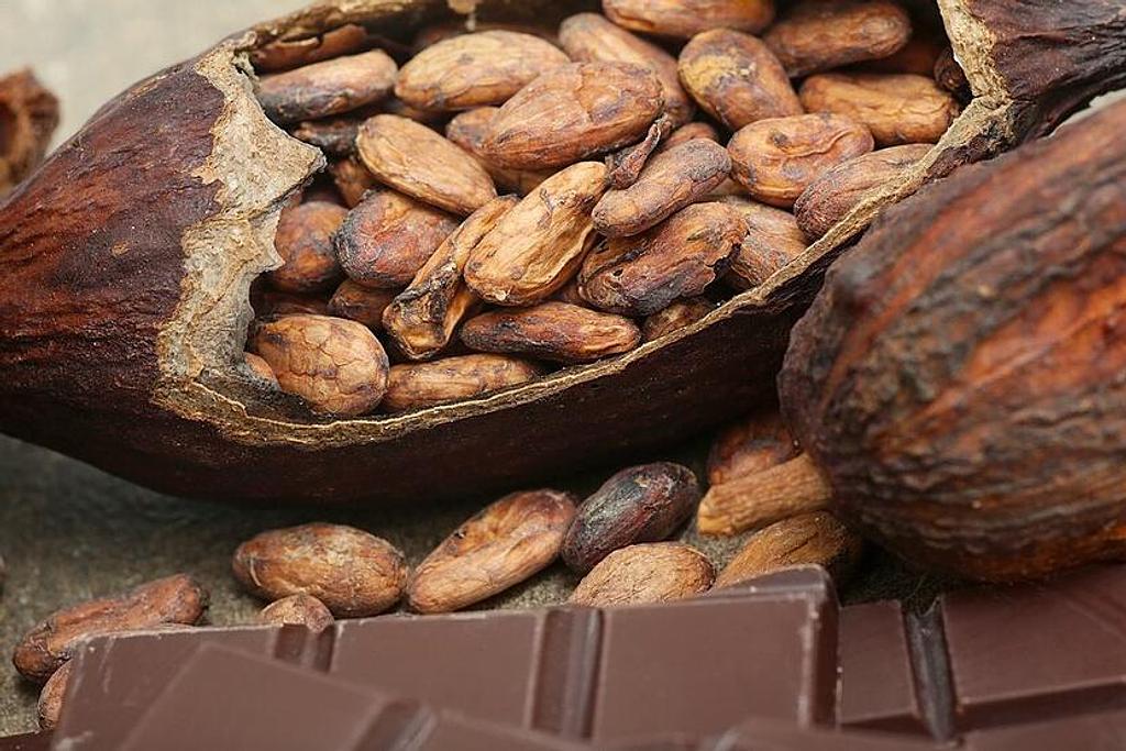 Cacao,